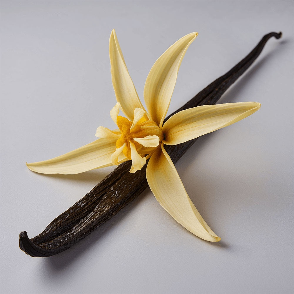 Grass-Fed Tallow Balm with Vanilla Bean