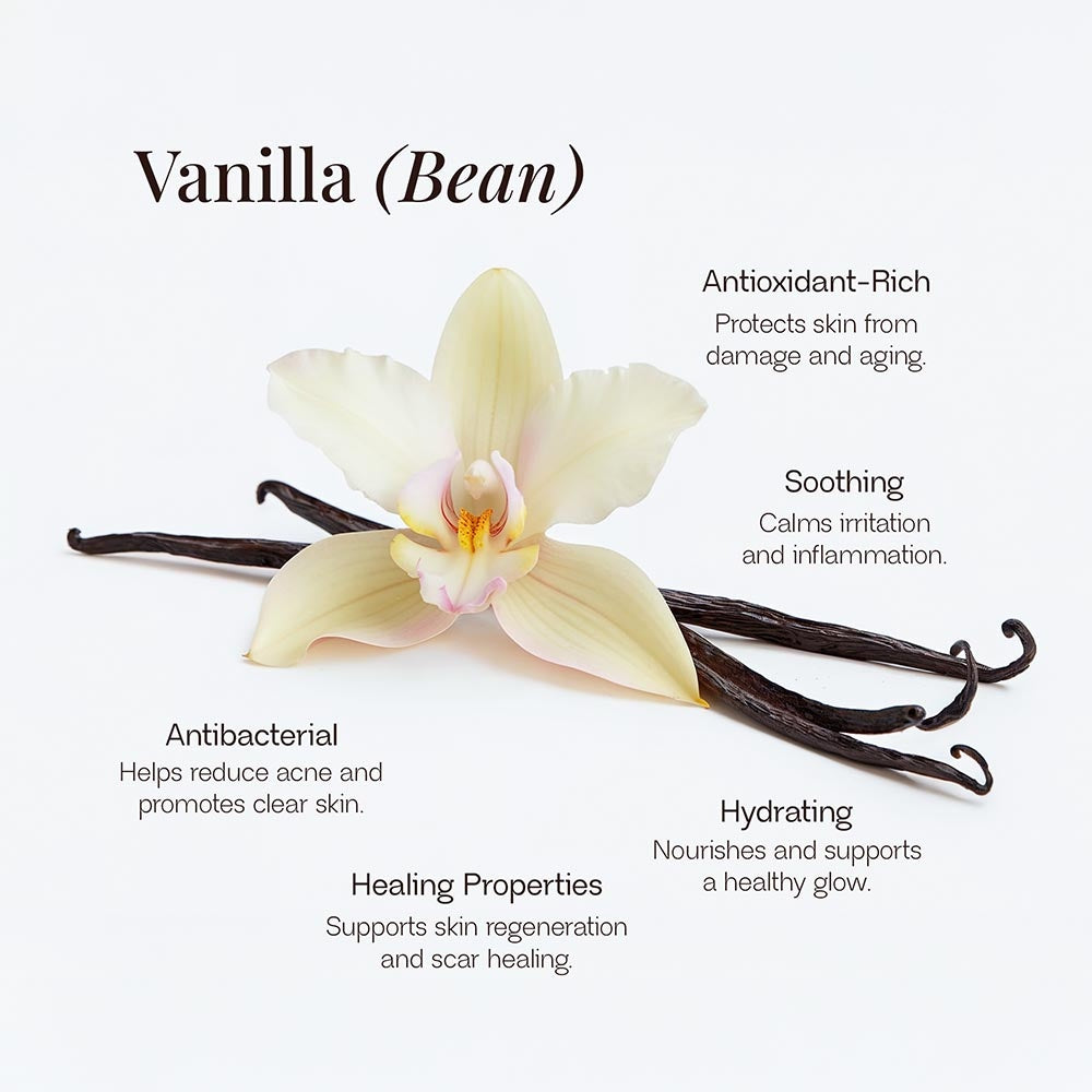 Grass-Fed Tallow Balm with Vanilla Bean