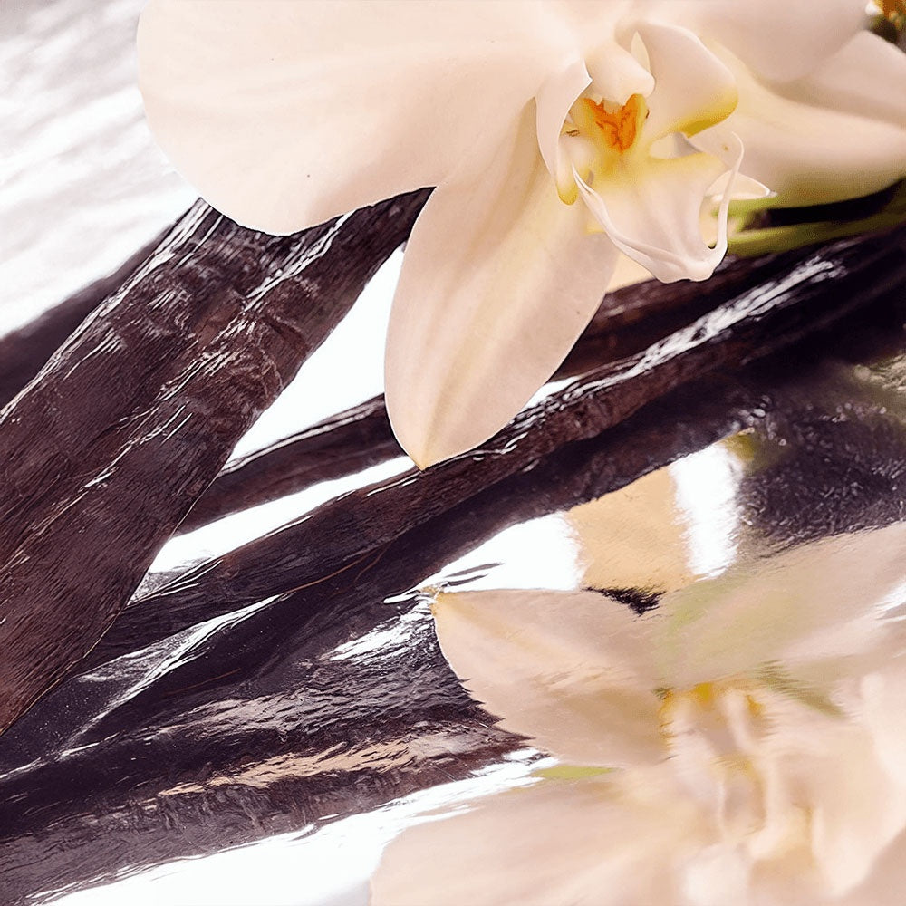 Grass-Fed Tallow Balm with Vanilla Bean